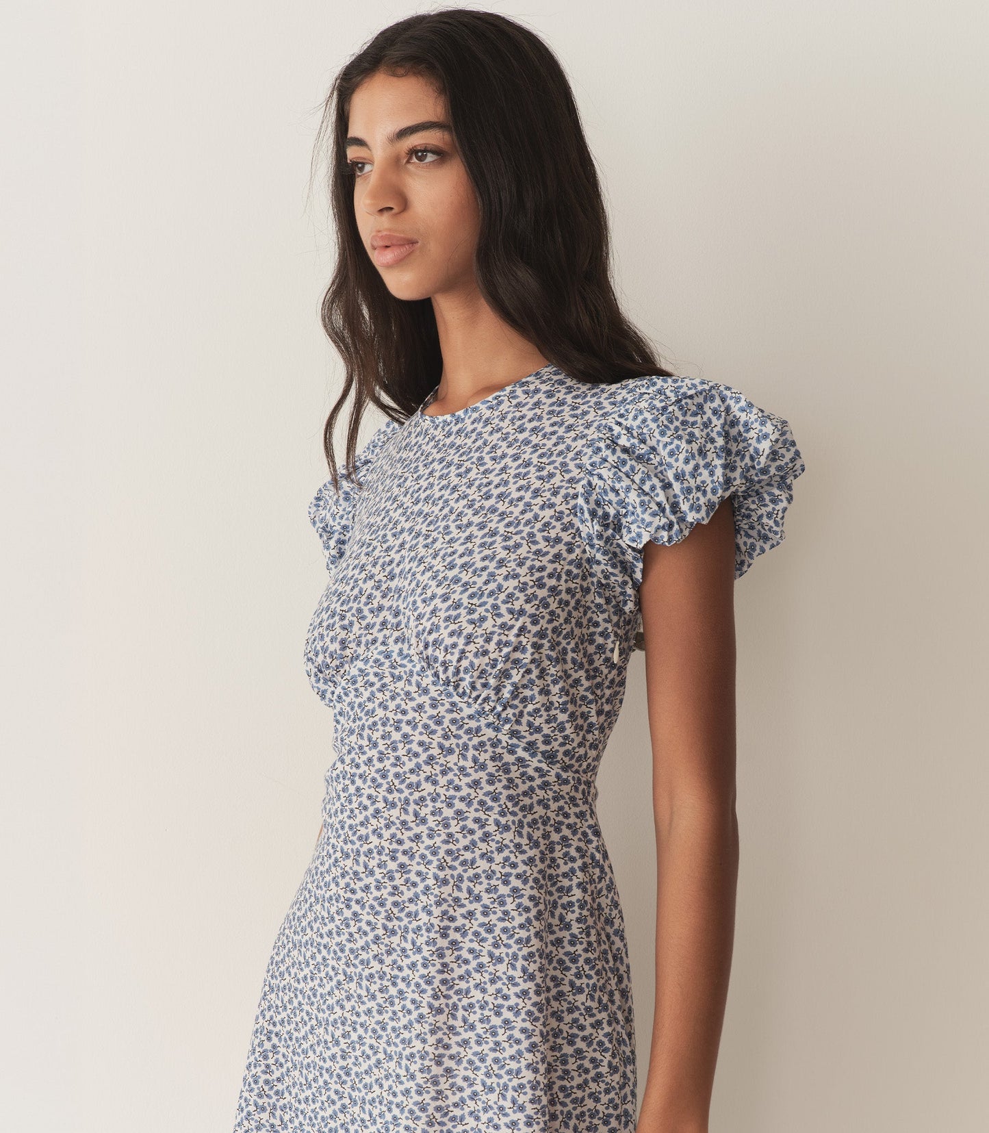 ROMINA DRESS -- CORNFLOWER HILLSIDE BLOOM
